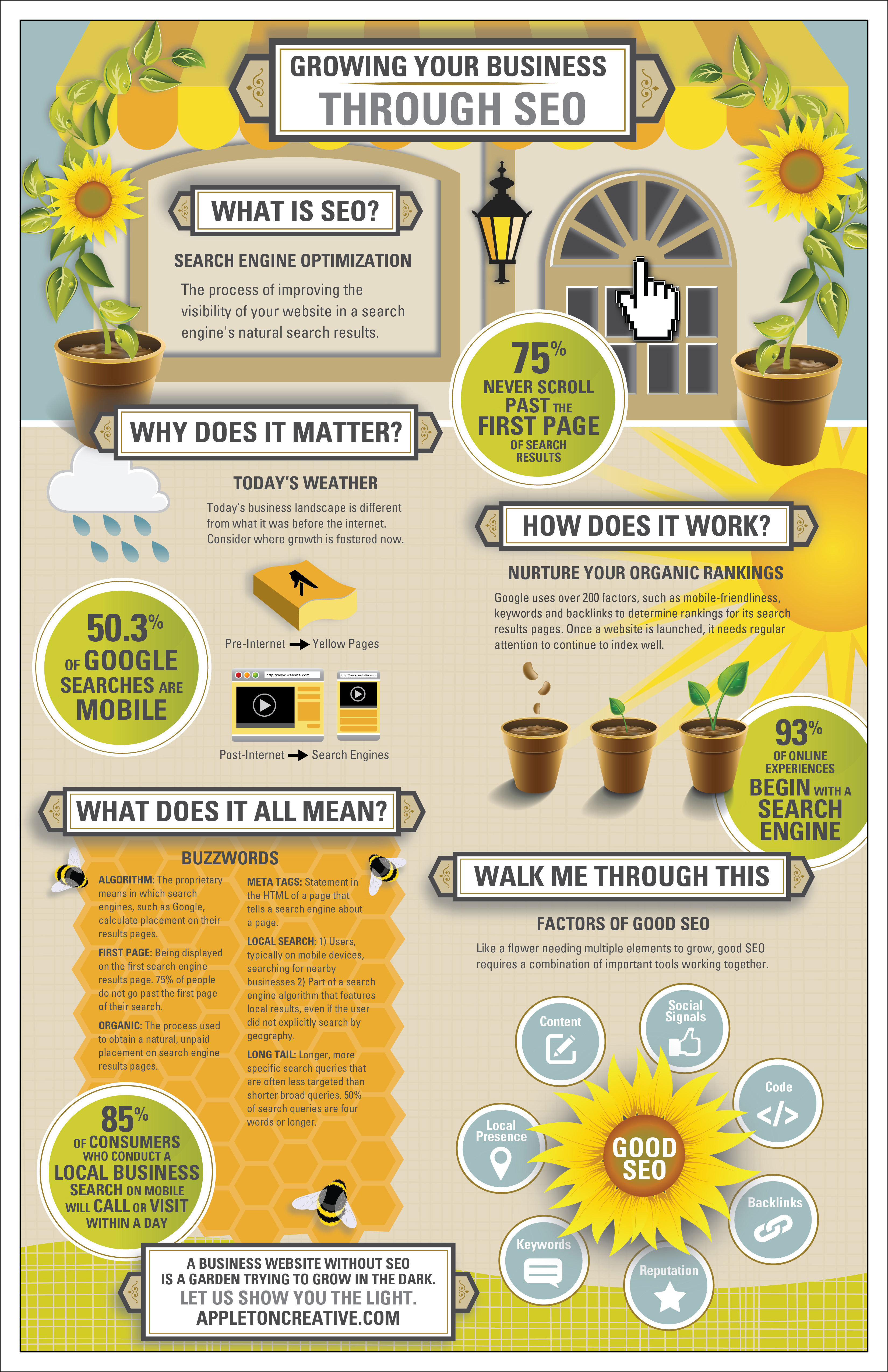 SEO infographic