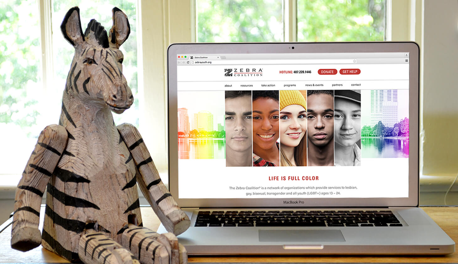Orlando web design services for Zebra Coalition