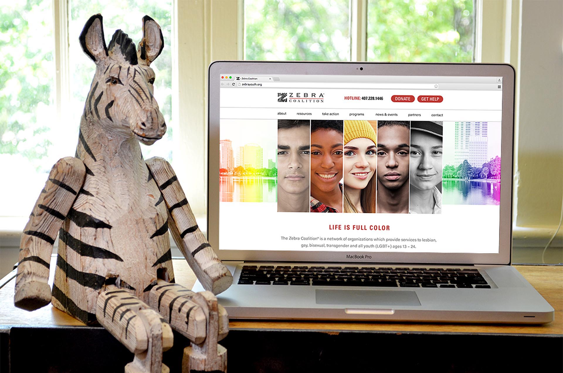 Zebra Coalition website