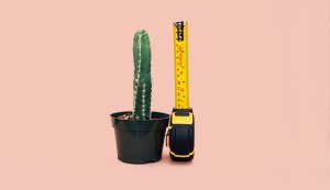 cactus being measured by a tape measurer